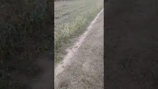 Айна, обучение команде "Место".