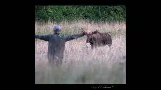 ЕГЕРЬ ОБМАНУЛ ЛОСЯ