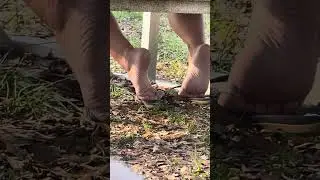 Candid Dry Soles @ The Park
