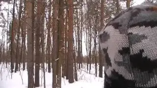 Косуля на кормушке