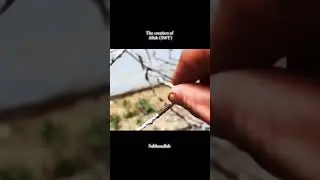 subhanallah Allah's creation 