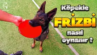 KÖPKLE FRİZBİ NASIL OYNANIR?🐶