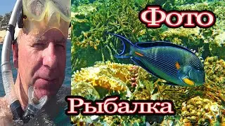 ФОТО Рыбалка на Красном море.