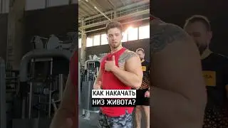 🔥КАК НАКАЧАТЬ НИЗ ПРЕССА?
