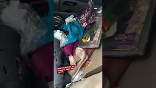 How much would you charge to clean this car ? 7.25 / hour!??