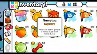 'Just don't name it Joe' | NEW PET SIMULATOR 99!