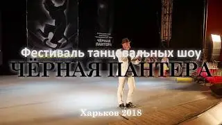 Фестиваль Танцевальных Шоу Чёрная Пантера 2018