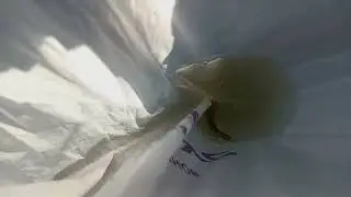 Ева. Выпускаем карасика в водоём. 23.06.2024.