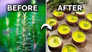 How to Grow & Use Your Homegrown Rosemary