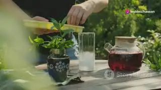 زراعة الاعشاب الطبية في المنزل
