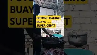 Potong daging buaya#buaya