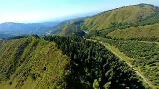 FPV/ Полёт над лесом в горах Алматы