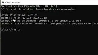 Verificar versión de Java instalada