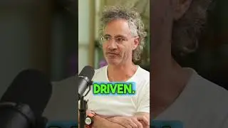 Palantir CEO Alex Karp on what makes America exceptional