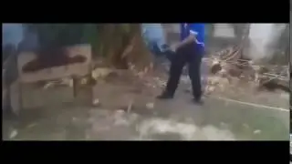 беач