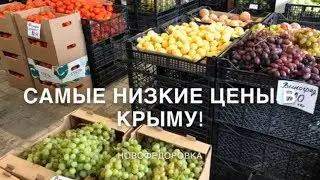 Самые низкие цены в Крыму / Новофёдоровка 2019 / Отдых в Крыму