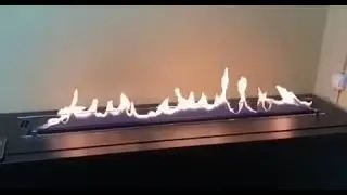 Биокамины