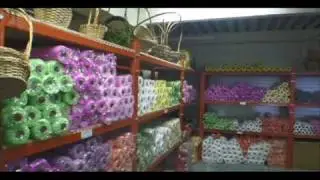 flowershouse.avi