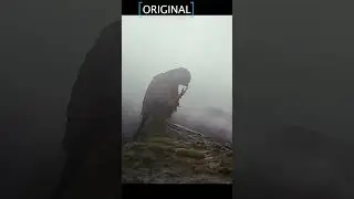 La importancia del sonido #fotografiadenaturaleza #nature #video #wildlife #sound