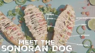 Meet The Sonoran Dog
