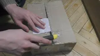 Новый Тегу - новая распаковка. Вторая попытка купить самку. Назвал Мила.