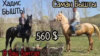 саман 28 марта 2022 г.