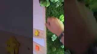BREVE - Mur végétal fait main pour une super décoration dans le fourgon
