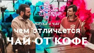 Чайная химия. Сон, катехины и Чем отличается чай от кофе