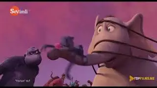 Horton multfilm uzbek tilida 1 qism #horton