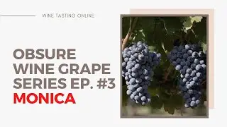 The Obscure Wine Grape Series - Ep.#3 - Monica