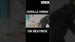 Gorilla Dance edit on Beatbox 