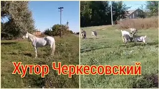 Моя Россия.Песня Шамана. Хутор Черкесовский.Малая родина