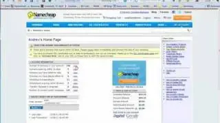 How To Change Your DNS In Namecheap
