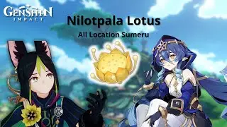 [GUIDE] All Nilotpala Lotus Farming Route Location Sumeru Region | Genshin Impact
