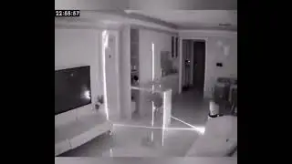 я ебал твою телку