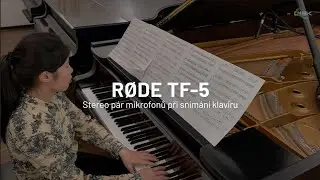 Stereo pár mikrofonů RODE TF-5 pro záznam klavíru?