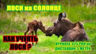 ВСТРЕЧА на СОЛОНЦЕ