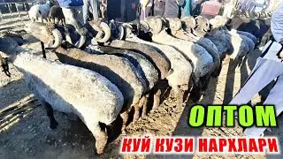 КАШКАДАРЁДА КАРШИ МОЛ БОЗОРИ НАРХЛАРИ 2021 | QARSHI MOL BOZORI NARXLARI