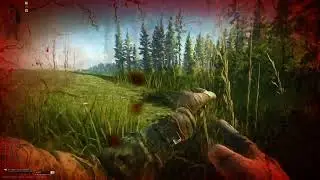 TARKOV!?