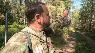 ОХОТА НА РЯБЧИКА С МАНКОМ