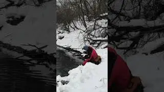 Поймал-отпусти. Щука на спиннинг. #shorts #сибирь #рыбалка #спиннинг #щука #pike #fishing #siberia
