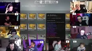черно-желтые | TWITCH FACTUM