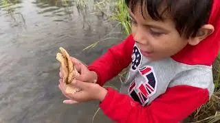 Fooding to fishes in pond #fishing #fooding