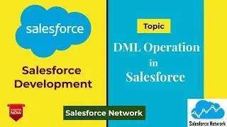 Day 11 DML Operation in Salesforce || Salesforce Network