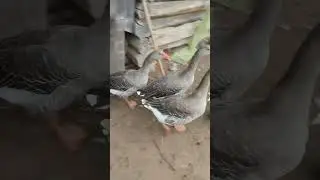 УТРЕННИЙ ДВИЖ😊
