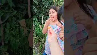 شو هالفاكهة ياهيفي