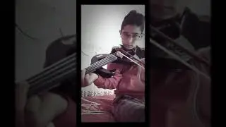Violin lov