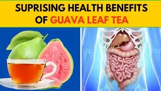 Discover The Benefits Of Guava Leaf Tea!