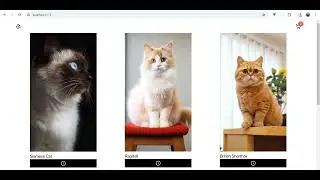 Cat Shop E-commerce Website in Vue.js, Pinia & Vue Router | Demo & Code Explanation