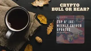 Crypto Bull or Bear? What do we do now?